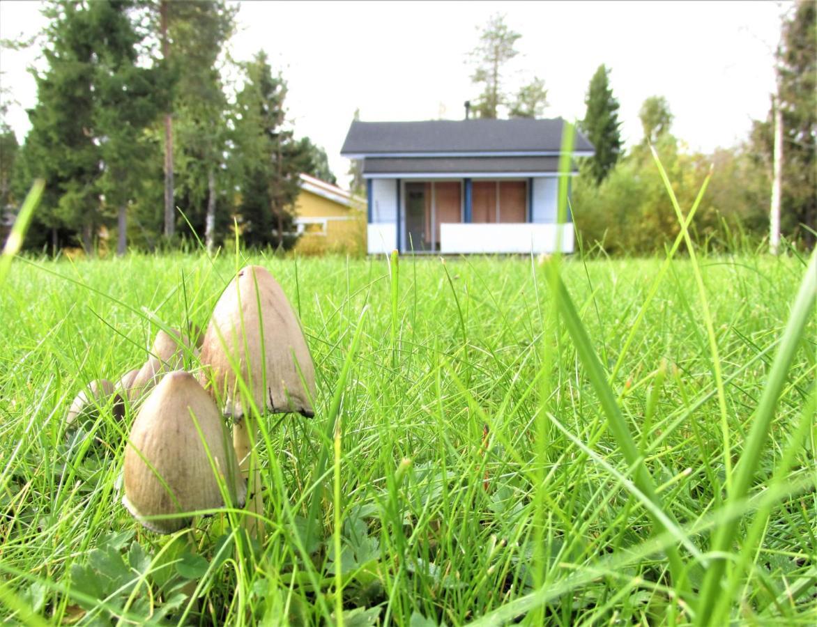 Scandinavian Dream Cottages Vikajarvi- Rovaniemi Kültér fotó
