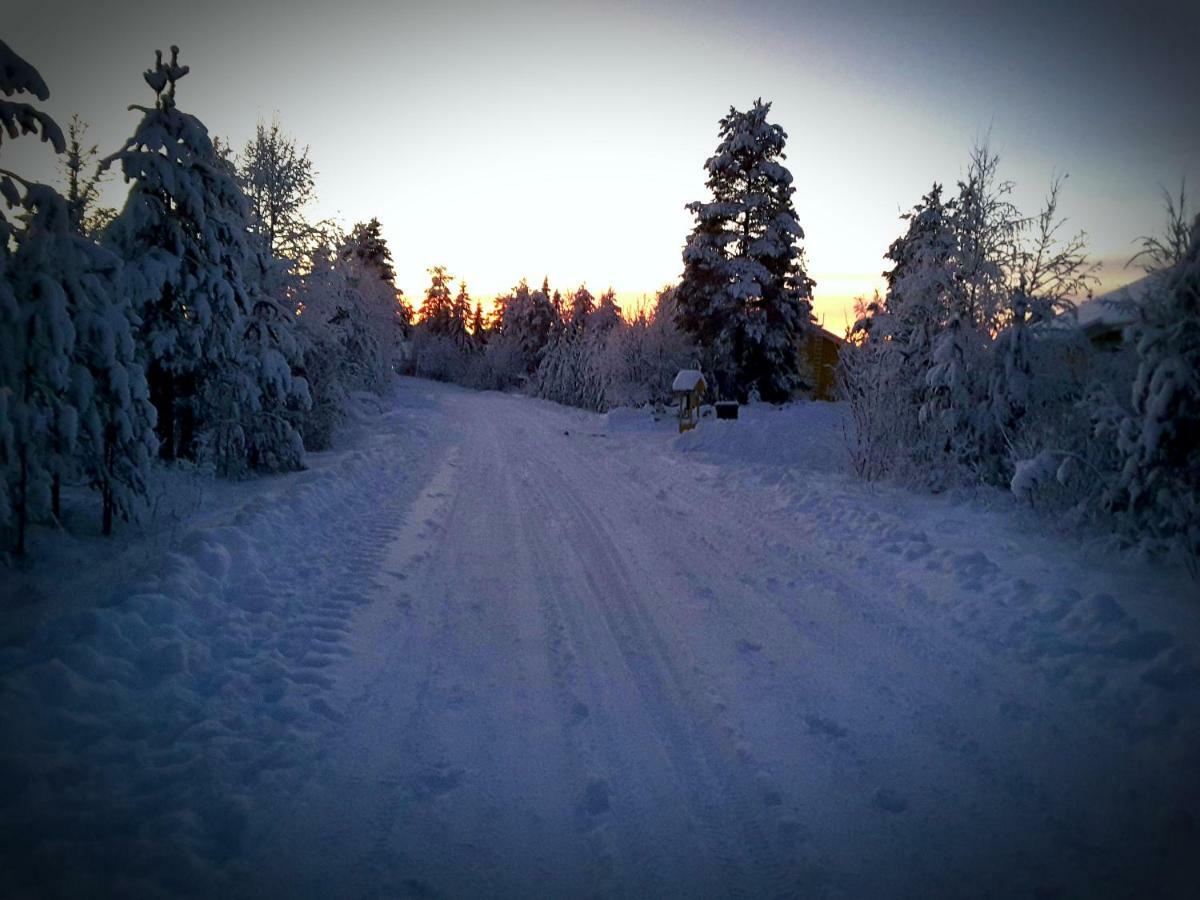 Scandinavian Dream Cottages Vikajarvi- Rovaniemi Kültér fotó