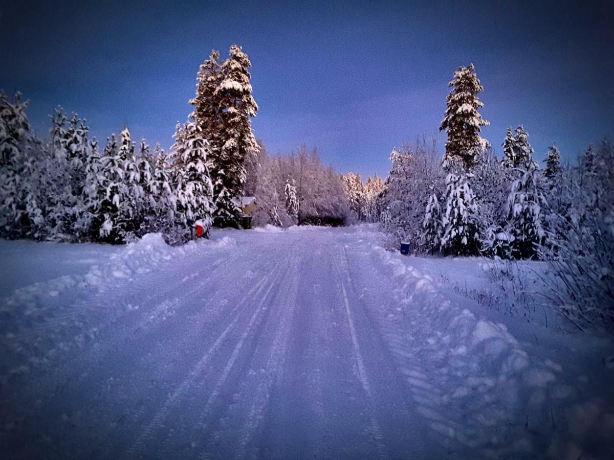 Scandinavian Dream Cottages Vikajarvi- Rovaniemi Kültér fotó